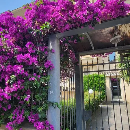 Nuema Apartment